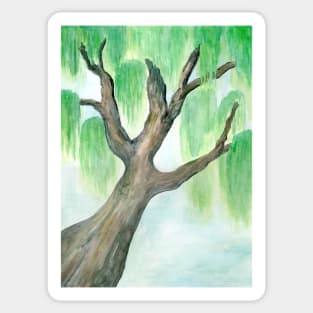 Watercolor Weeping Willow Sticker